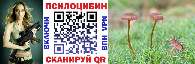 Псилоцибиновые грибы мицелий  Петропавловск-Камчатский 