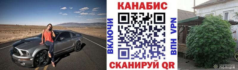 Шишки марихуана планчик  Петропавловск-Камчатский 